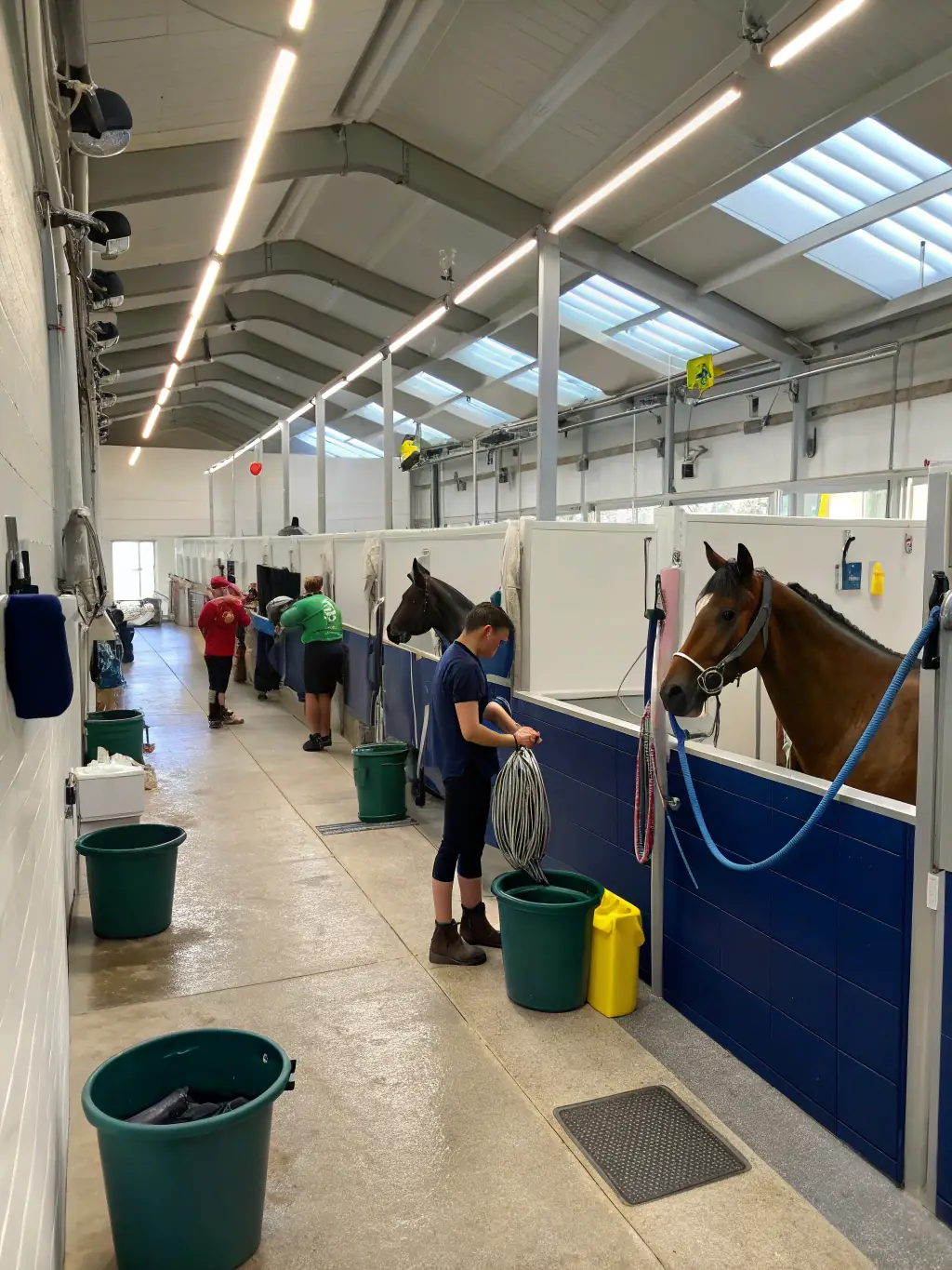 A dedicated horse care and grooming area at RENCONTRES EQUESTRES DE CHAMBERET, showing staff members tending to horses, with grooming tools, washing facilities, and veterinary supplies readily available.